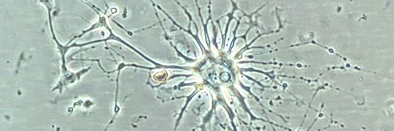 John M. González banner