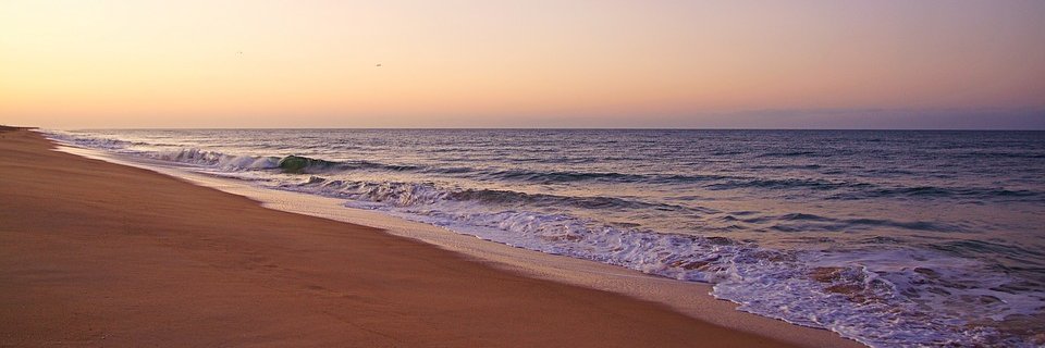 TheresaAnneCarey banner