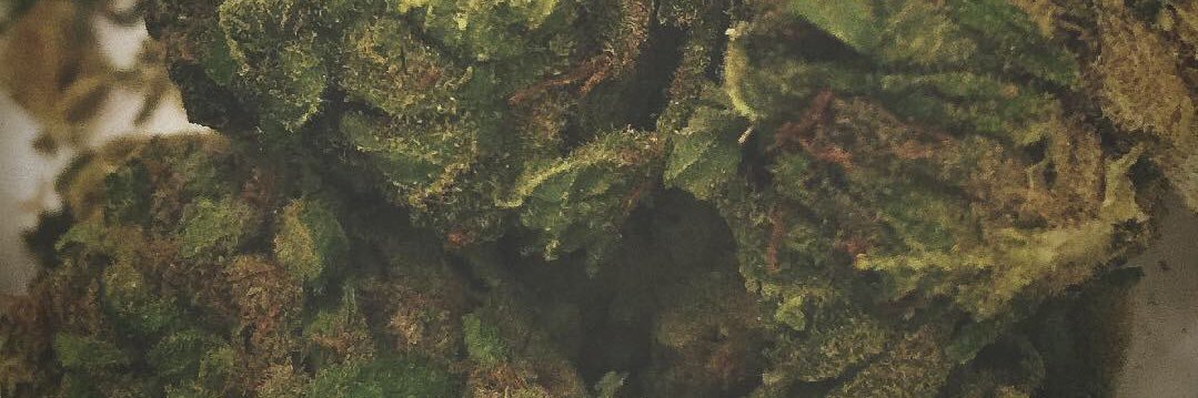 leafblowhur's profile banner image