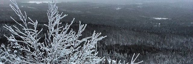 rrnellTwel's profile banner image