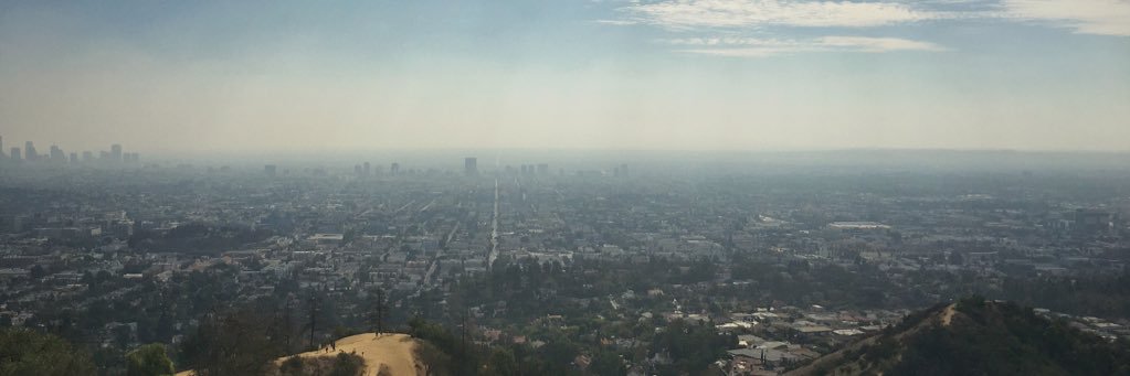 Orlando Cicilia III banner