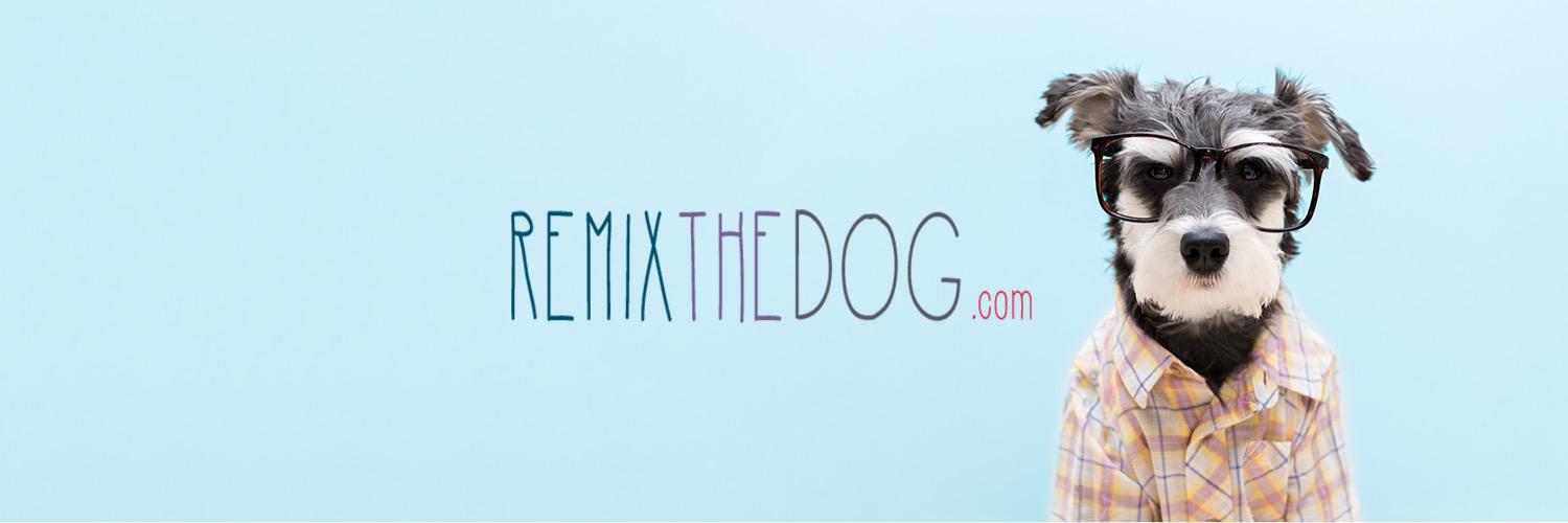 Remix the Dog banner