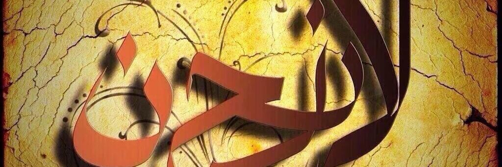 FYerdemir's profile banner image