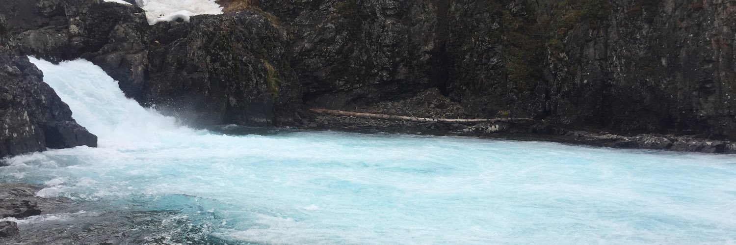Carolyn Hall banner