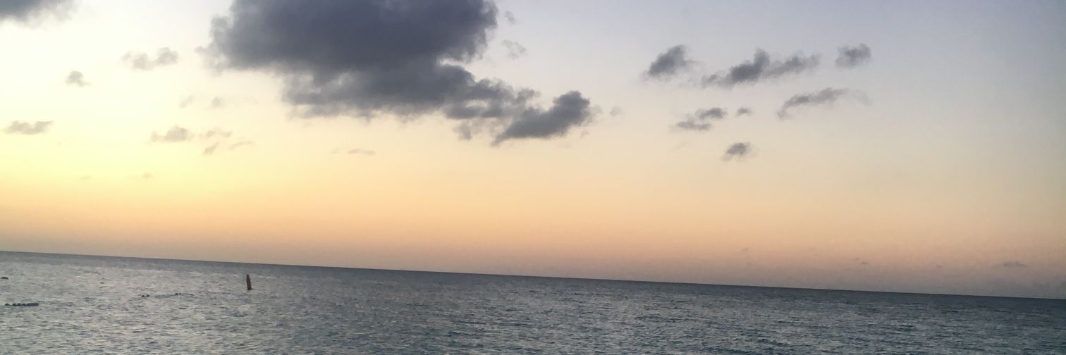 Queen_SataK's profile banner image