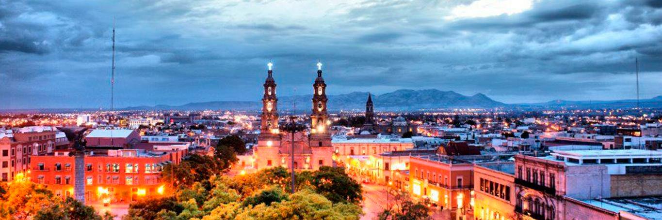 Viva Mex banner