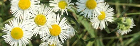 hello_Andin's profile banner image