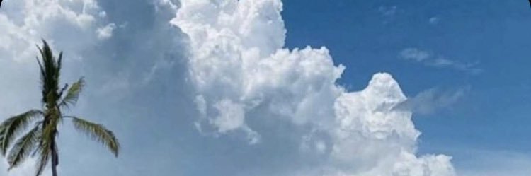 sh00oo17's profile banner image