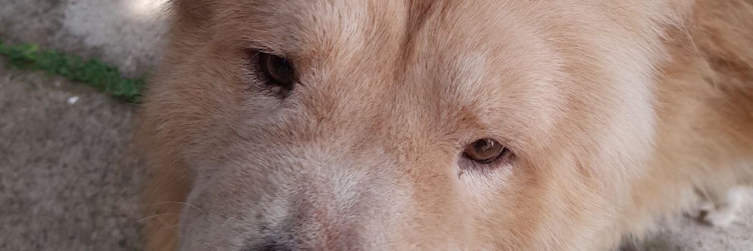 aantomenne's profile banner image