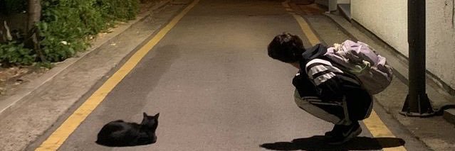 ftynaa's profile banner image