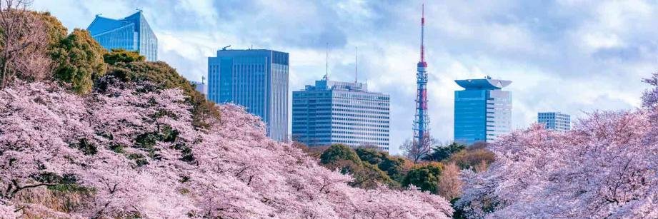 jpsoku's profile banner image