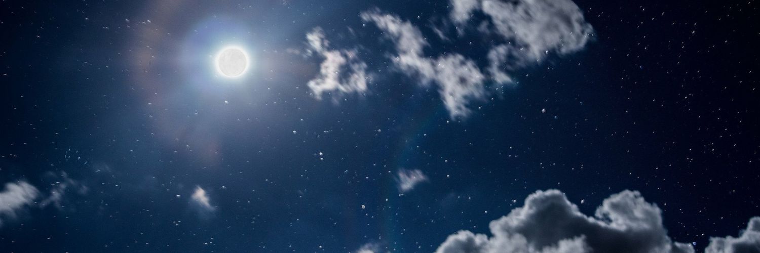 BrunaBochnie's profile banner image