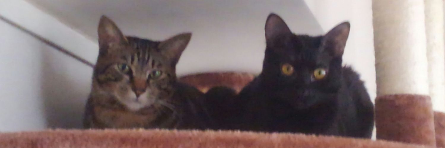 ビューラー banner