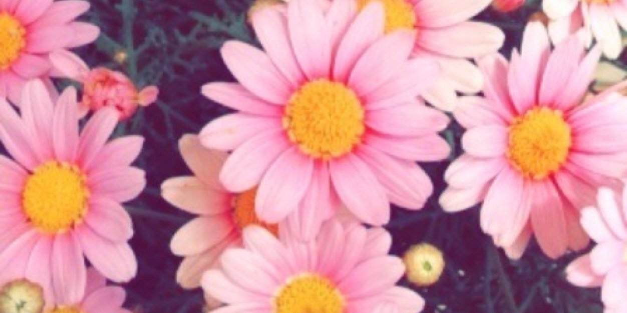 Cstevens_xx's profile banner image