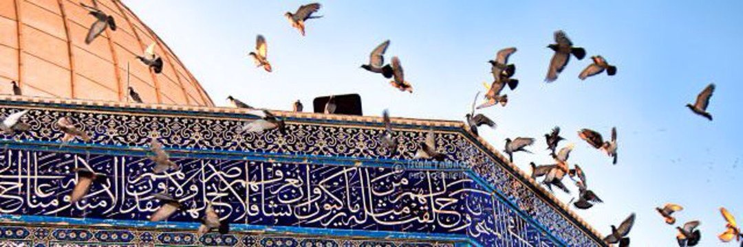 إبراهيم الدرويش banner