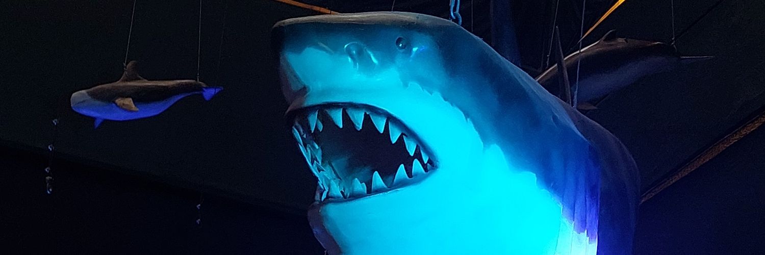 new_df's profile banner image