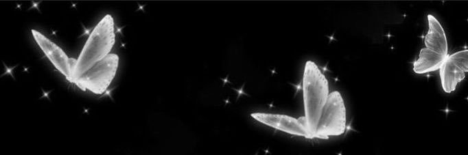 lillianams__'s profile banner image