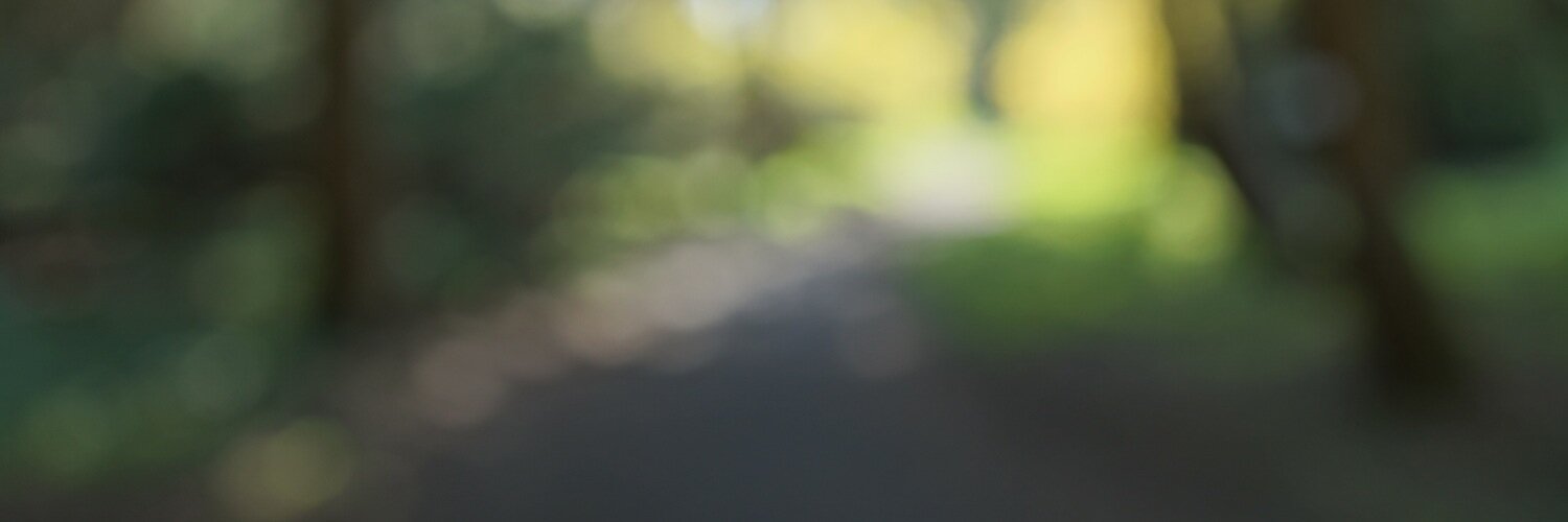 Molecus's profile banner image
