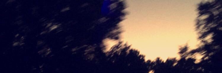 WantedOnMars's profile banner image