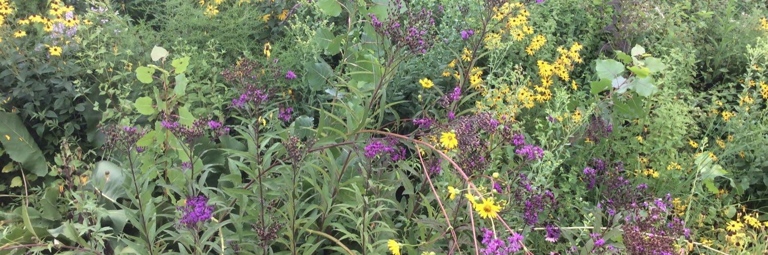 Science in Chicago banner