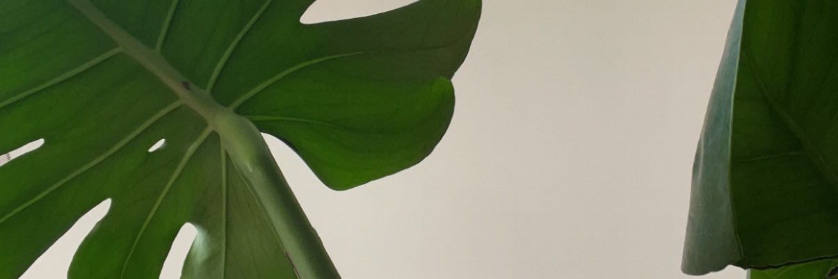 Organically_G's profile banner image