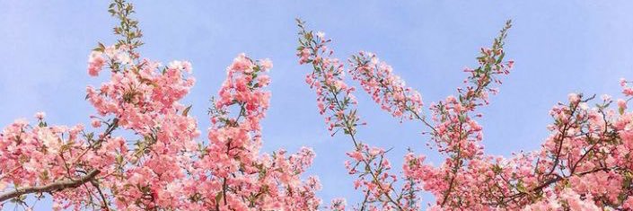 GiuliMazo's profile banner image
