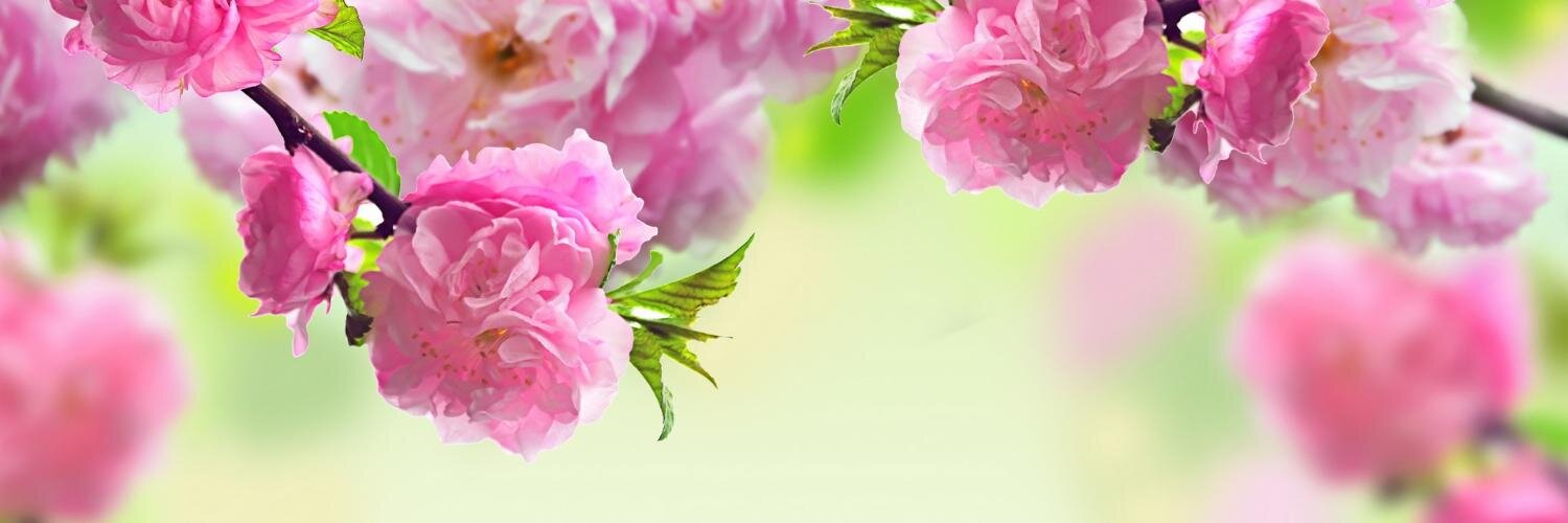 MichelleNConway's profile banner image