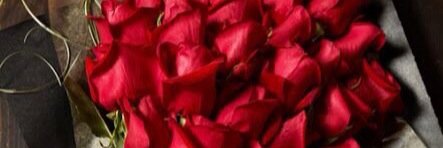 ggff770's profile banner image