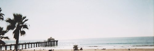 Larreh3's profile banner image