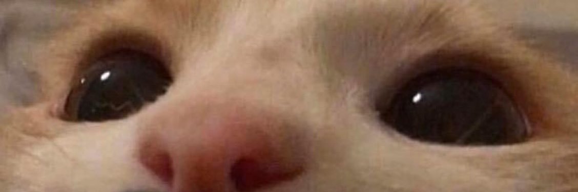 🧐🦦 waiting for sundsy night banner