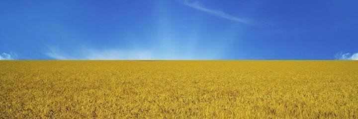 MustLive's banner