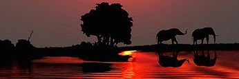 StefanoBerna3's profile banner image
