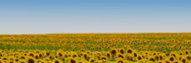 Mike clams :^o 🇺🇦🌻🗽🇺🇦🇺🇸 banner