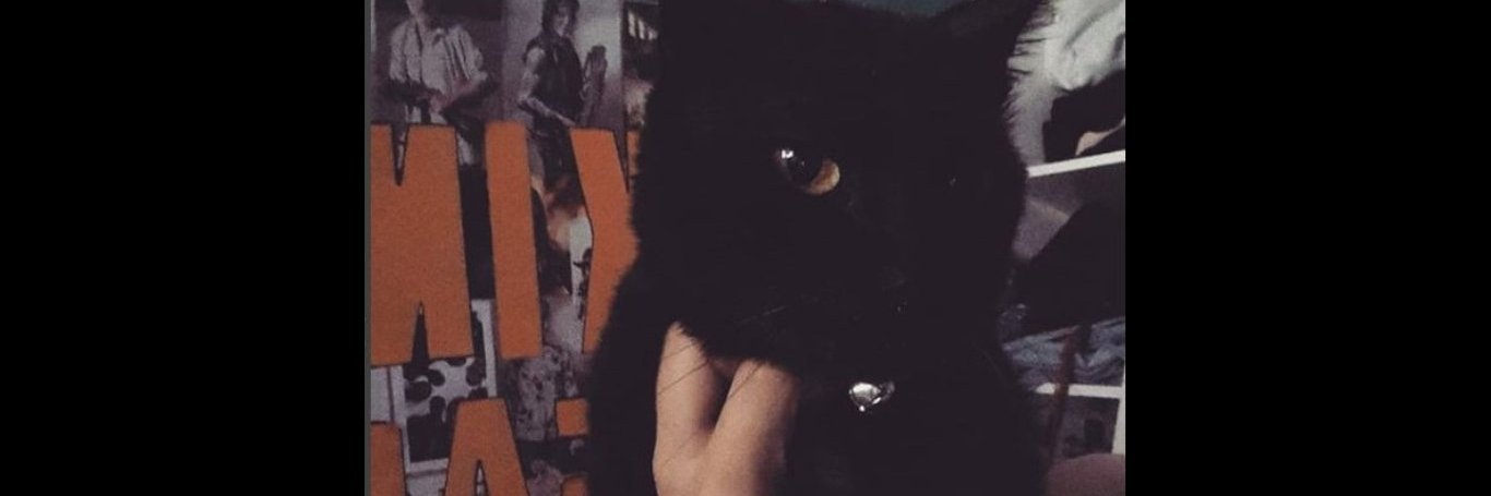 PiliFernandez0's profile banner image