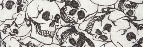FlorrdeForra's profile banner image