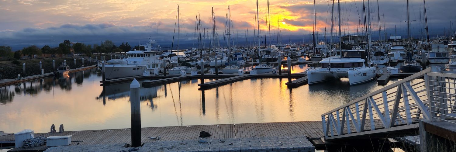 Erin 💉💉 💉🌊🌊🌊🌊🇺🇸🇺🇦😢🟦 banner