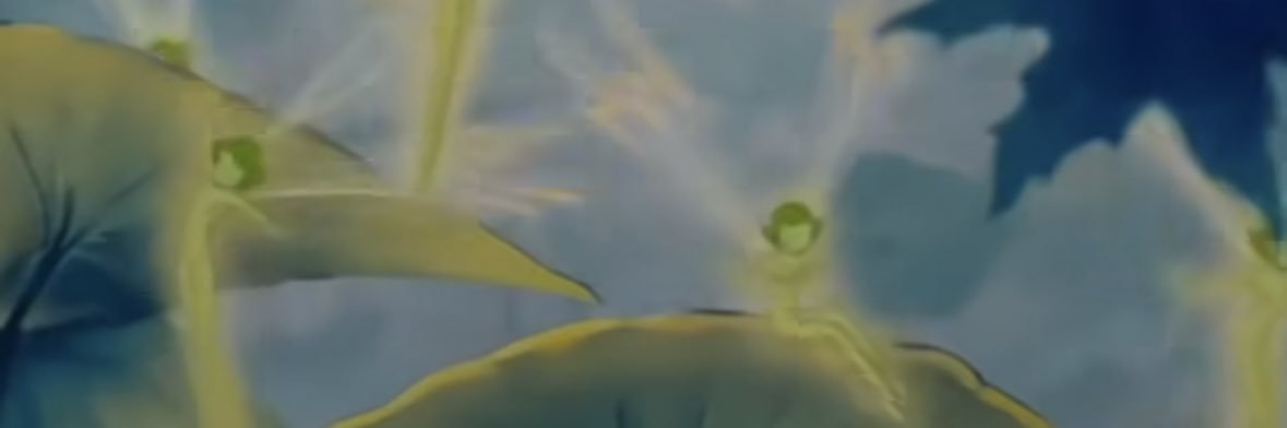 nolan banner