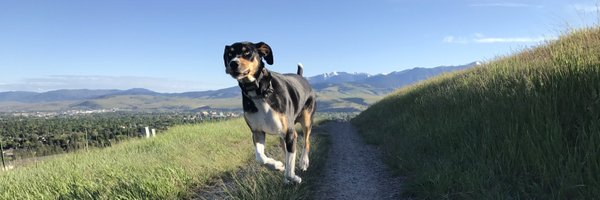 FrederickPeck Profile Banner