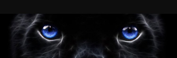 JamalMccaskell's profile banner image