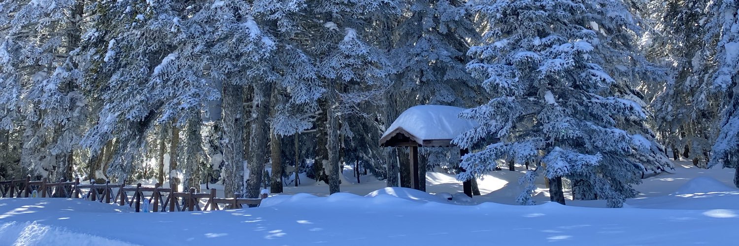 inesmhrani's profile banner image