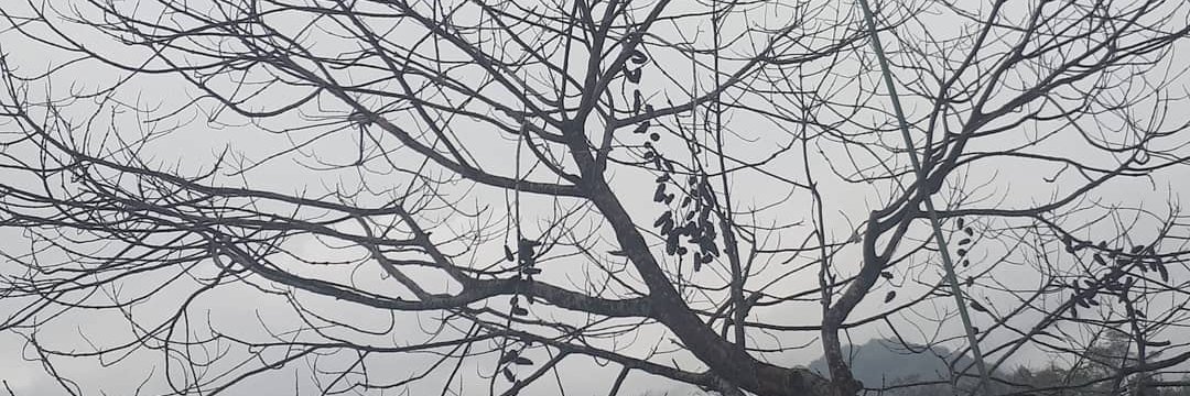trips29's profile banner image