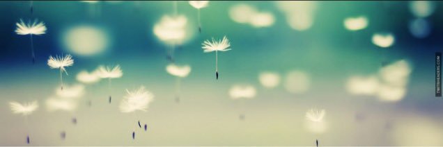 FloydMakenna's profile banner image
