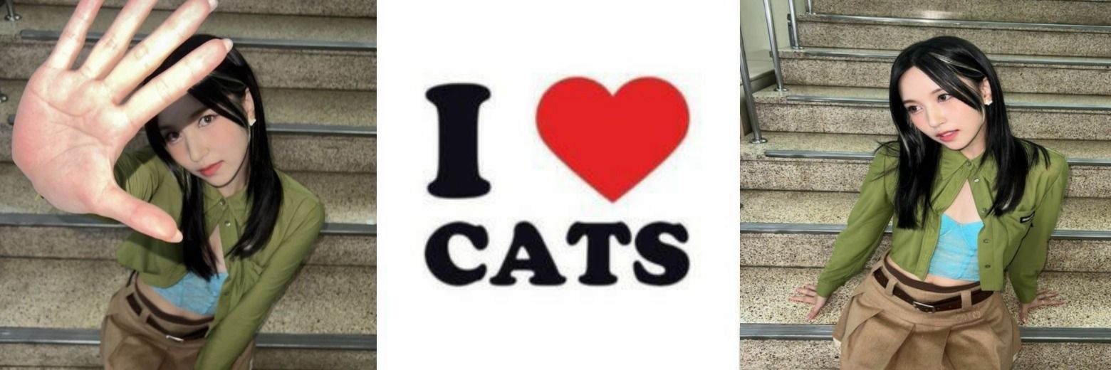 madu 🧷 #TEAMCRYSTAL banner