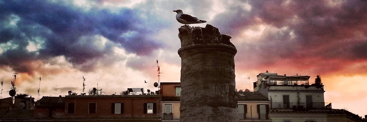 bmakaroglu's profile banner image