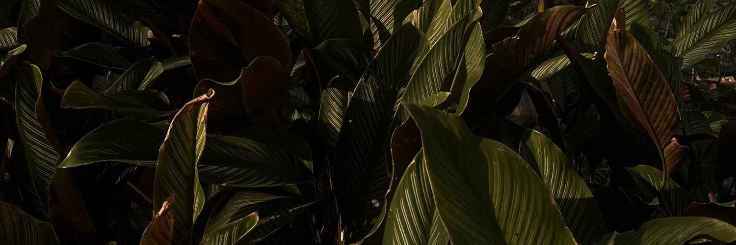 cullurd's profile banner image