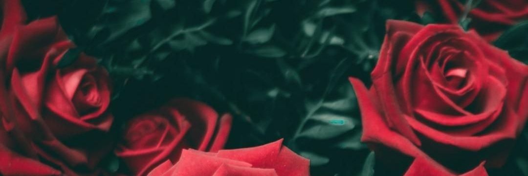 luhvvyou's profile banner image