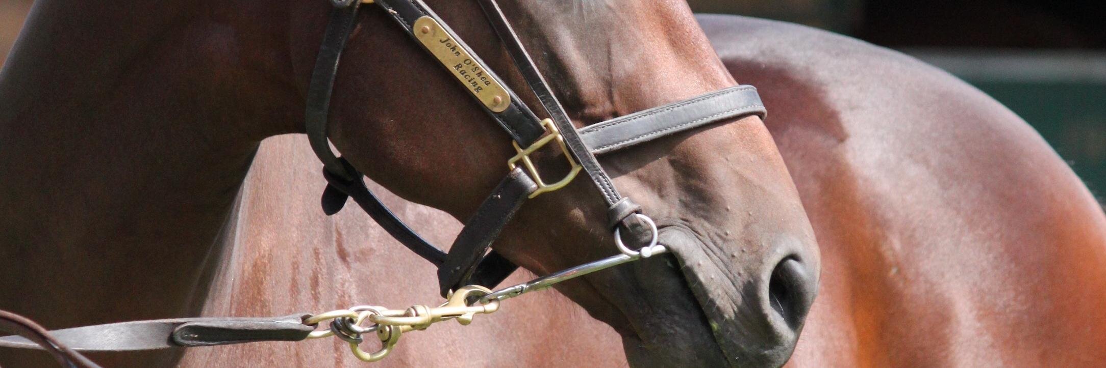 RobertDesmohead's profile banner image