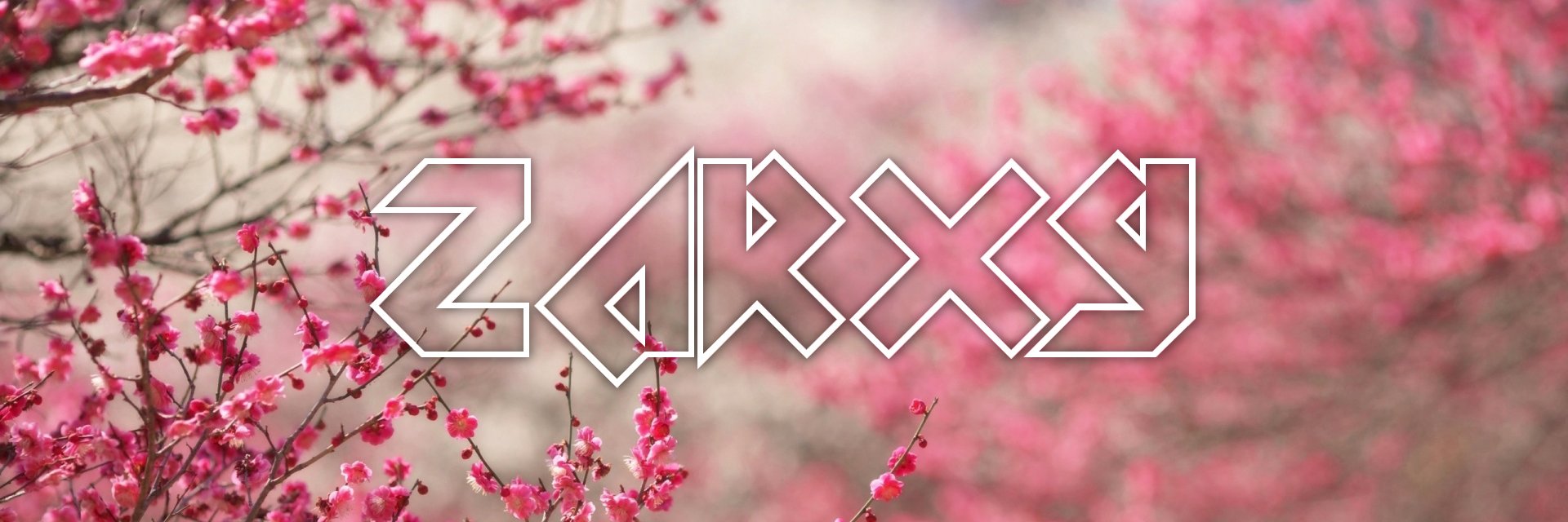 Zarxy's profile banner image