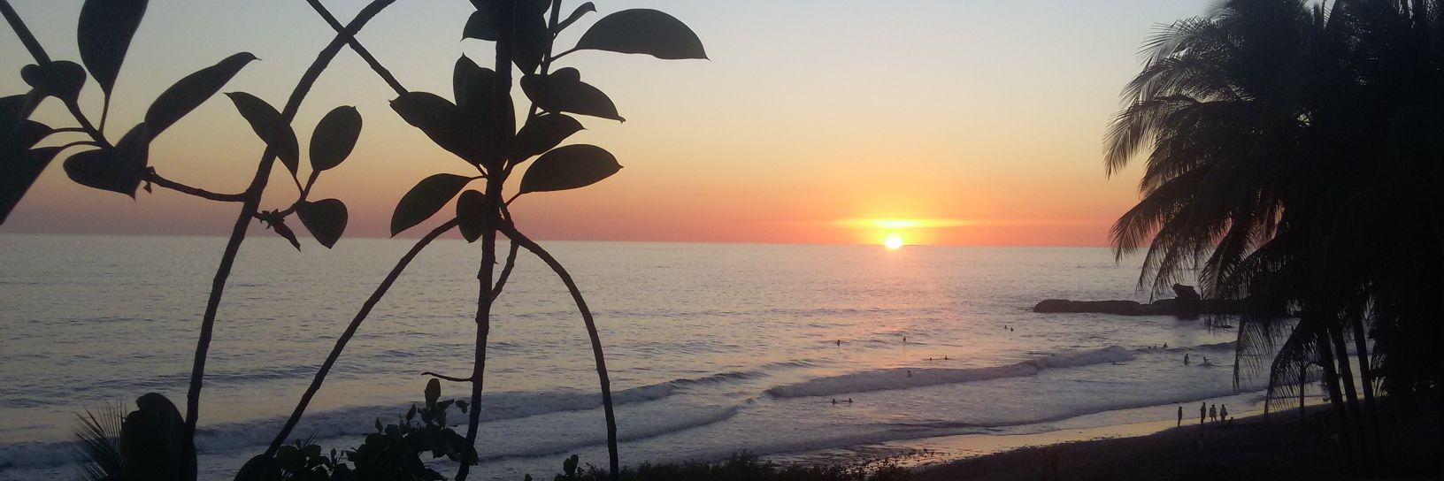 Sweet Caroline banner