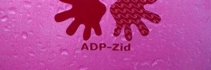 ADP_ZiD_'s profile banner image